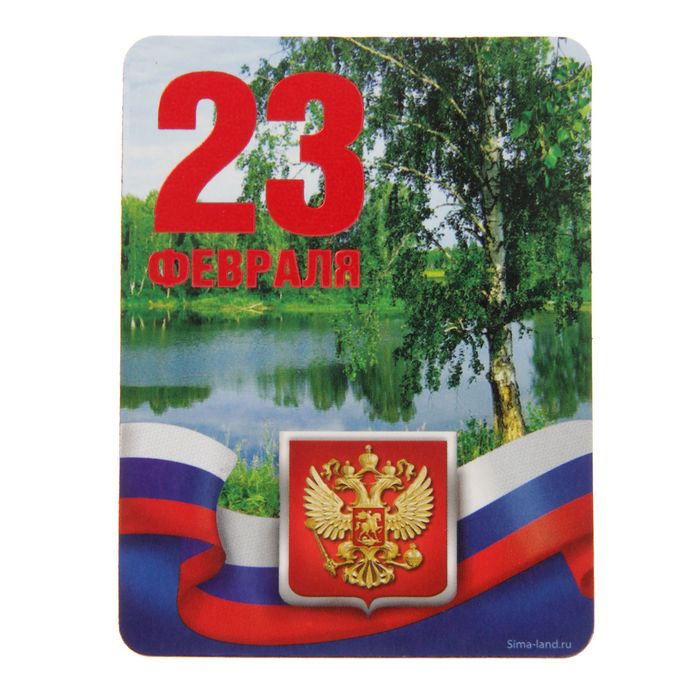 Магнит "23 Февраля", флаг,