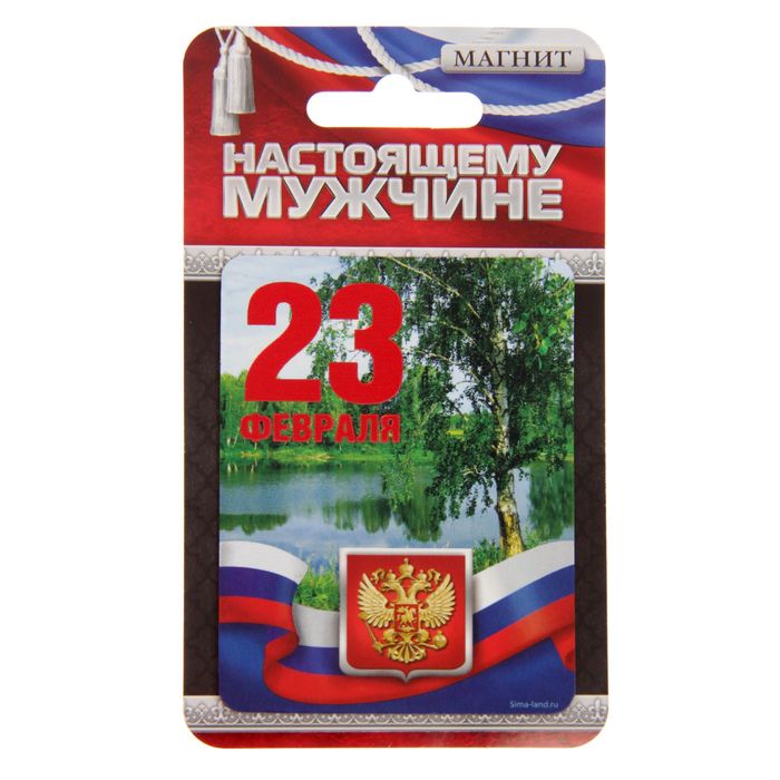 Магнит "23 Февраля", флаг,