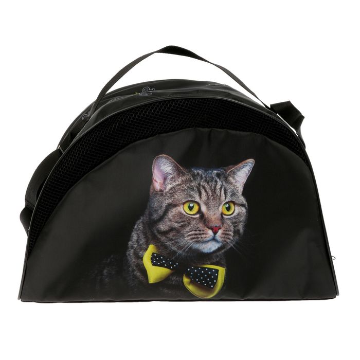 Сумка-переноска "Дизайн" размер M, 42 х 22 х 30 см