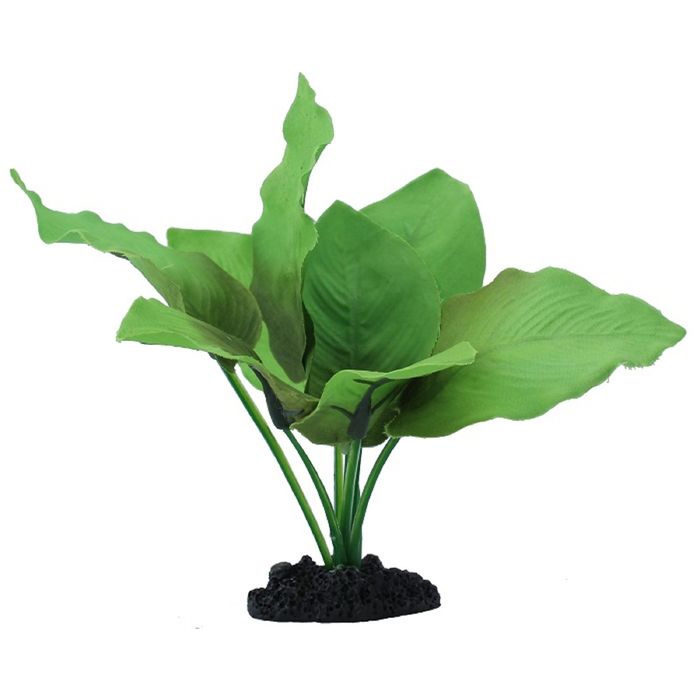 Шелковое растение PRIME Анубиас Бартера 30см