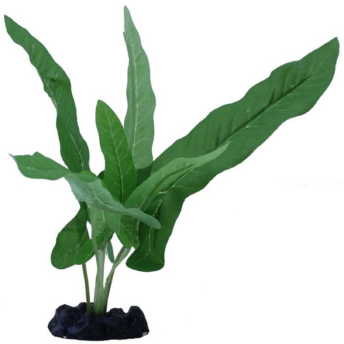 Шелковое растение PRIME Сингониум цветное 20см