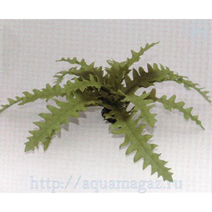 Шелковое растение PRIME Чертополох, зеленое 20см