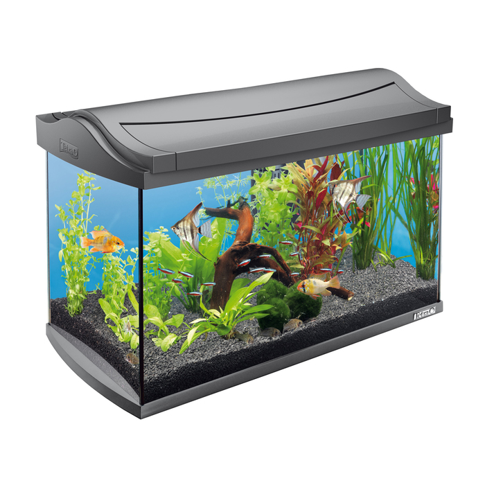 Аквариум AquaArt Discover Line 60л 60х31х42см