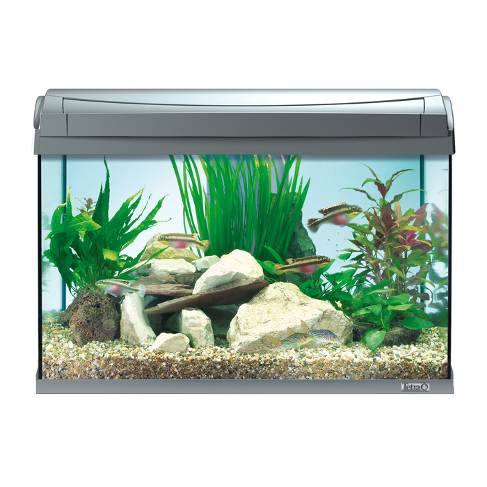 Аквариум AquaArt Discover Line 60л 60х31х42см