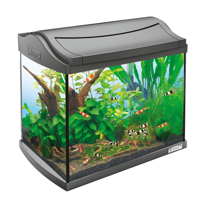 Аквариум для креветок AquaArt Shrimps Discover Line 20л 38х26х34см
