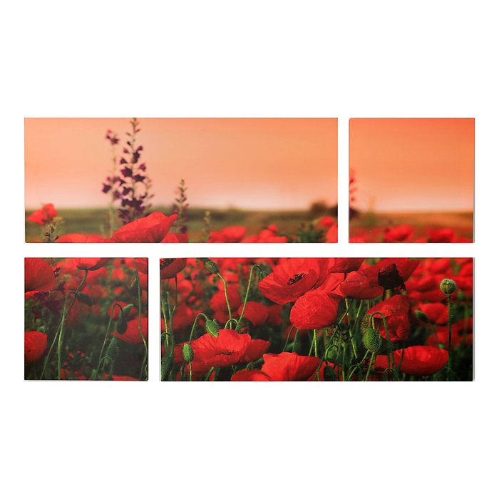 Модульная картина на подрамнике "Маковое поле", 2 шт. — 74×29 см, 2 шт. — 29×29 см, 60×105 см