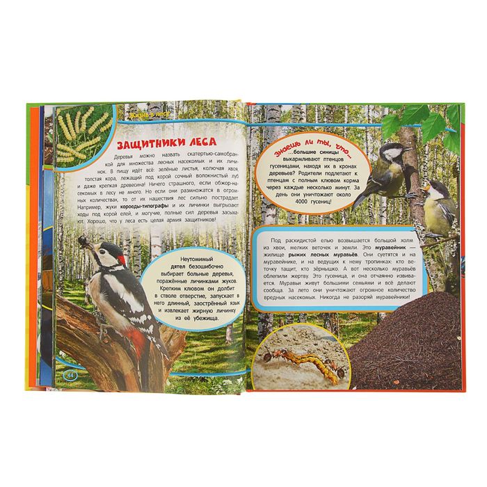 «Большая энциклопедия малыша»