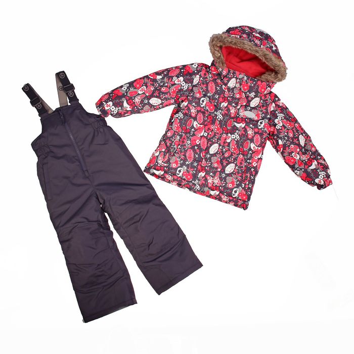 Комплект зимний (куртка, полукомбинезон) Сказки леса, рост 100 см, цвет красный W16107