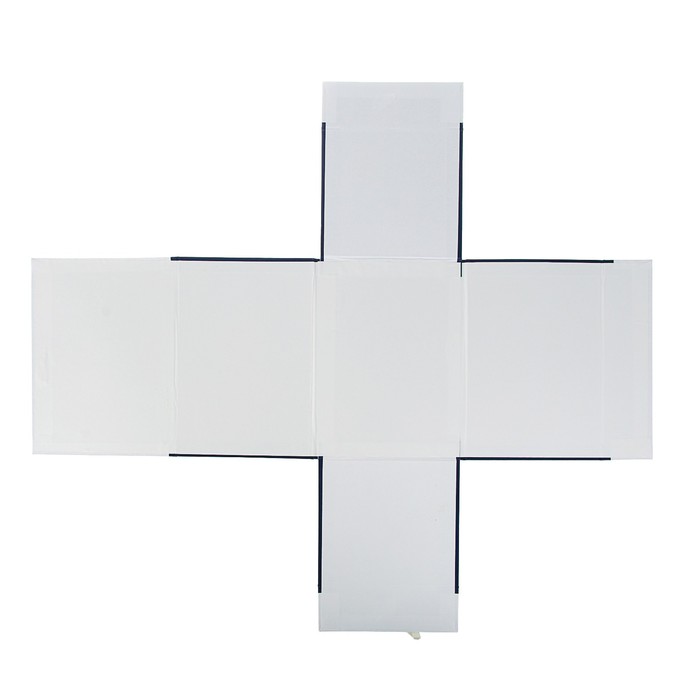 папка архивная А4 200мм Дело, бумвинил