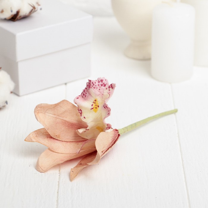 Декоративный цветок "Орхидея", пудра