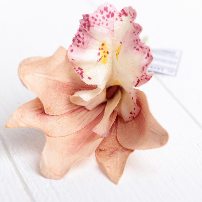 Декоративный цветок "Орхидея", пудра