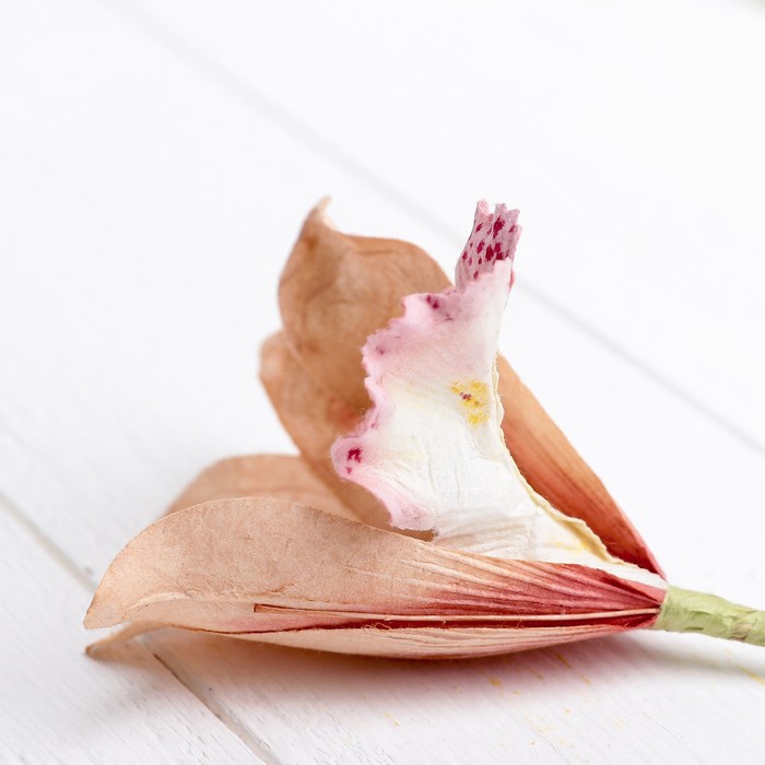 Декоративный цветок "Орхидея", пудра