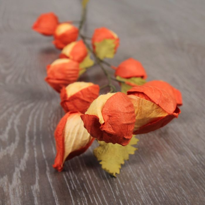 Декоративный цветок "Физалис"