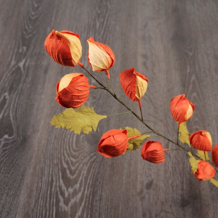 Декоративный цветок "Физалис"