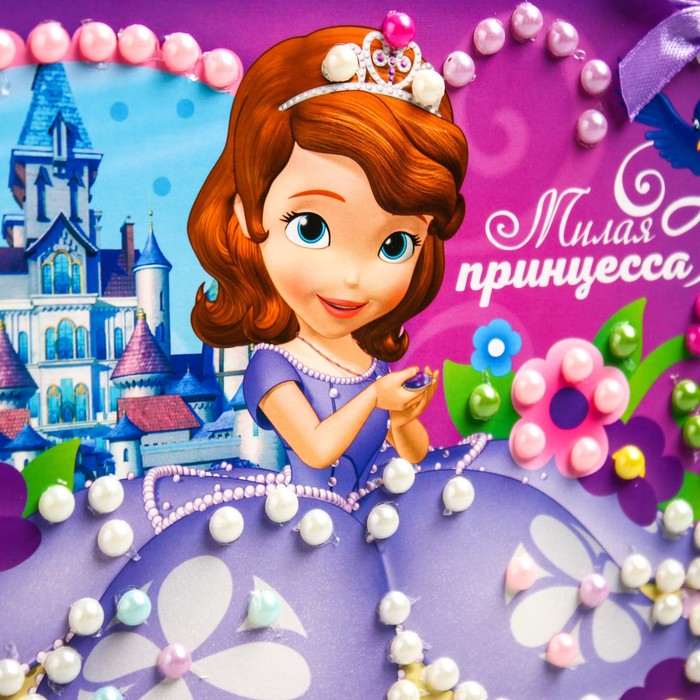 Аппликация жемчужными полубусинами "Милая принцесса", София Прекрасная, А5