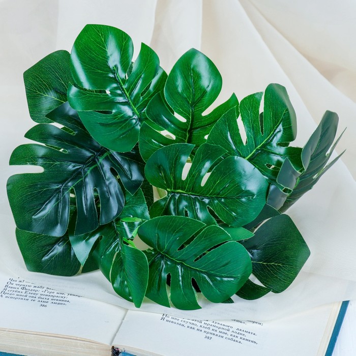 Букет "Монстера"