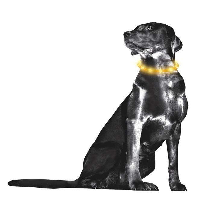 Ошейник светящ. LED с USB-зарядкой, 70 см