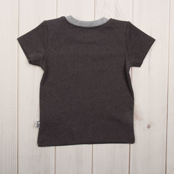Футболка для мальчика, рост 74 см (44), цвет тёмно-серый меланж