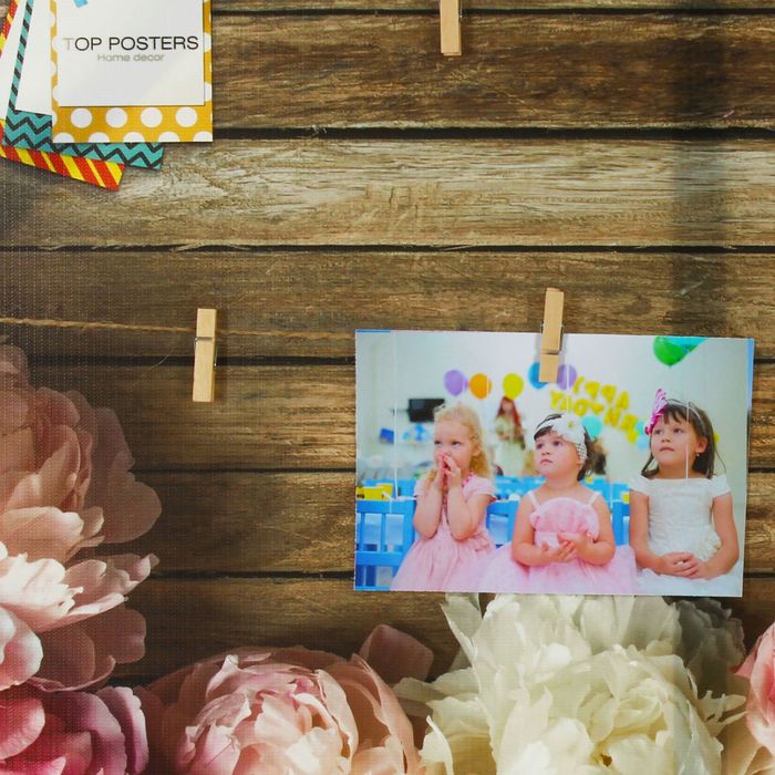 Картина для фотоколлажа "Розовые цветы"