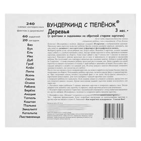 

Обучающие карточки «Деревья»