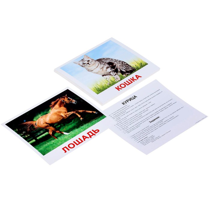 Обучающие карточки «Домашние животные»