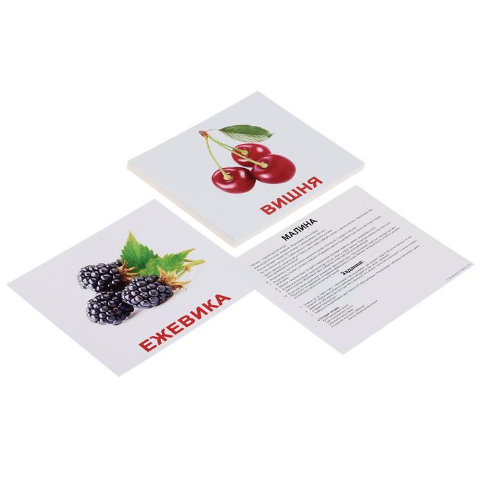 Обучающие карточки "Ягоды"