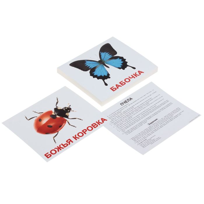 Обучающие карточки "Мои первые знания"