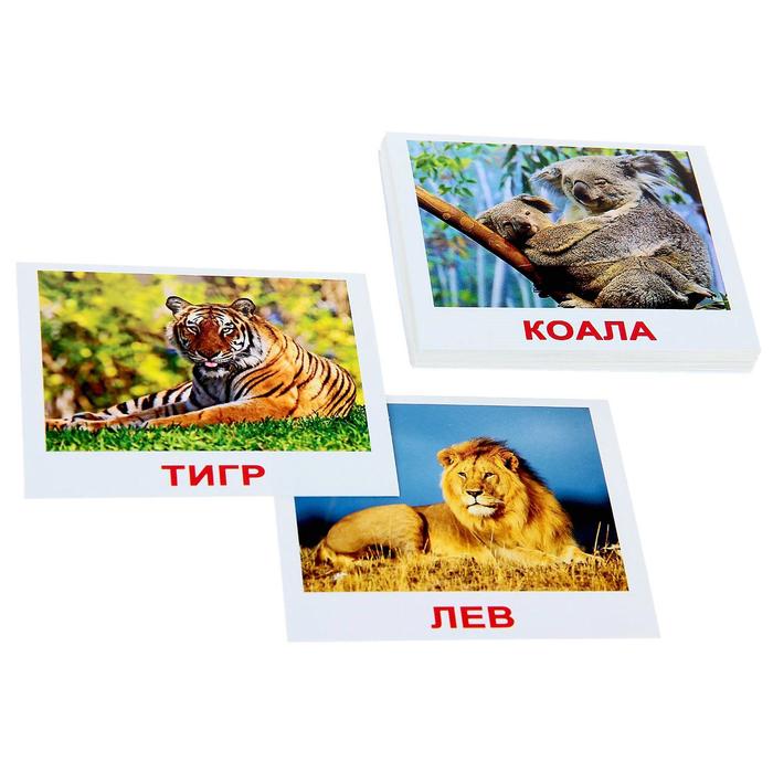 Набор карточек "Мини-20. Дикие животные"