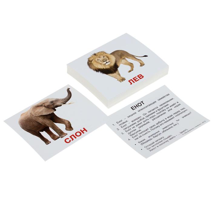 Набор карточек "Мини-40. Дикие животные"
