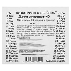 

Набор карточек «Мини-40. Дикие животные»