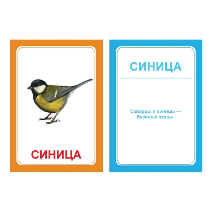 Логопедические карточки "Логопедка "Ц"