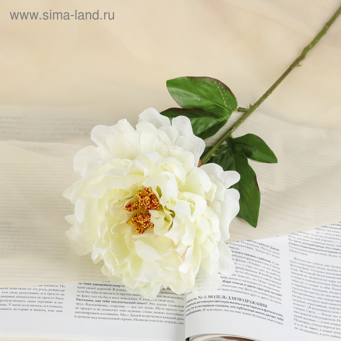 Цветы искусственные Пион бархатный 15х55 см, белый цветы искусственные пышный пион 7х47 см сиреневый