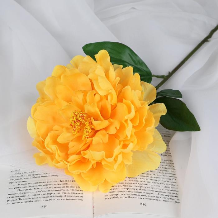 Цветы искусственные Пион бархатный 15х55 см, жёлтый цветы искусственные пион дуо 12х60 см белый