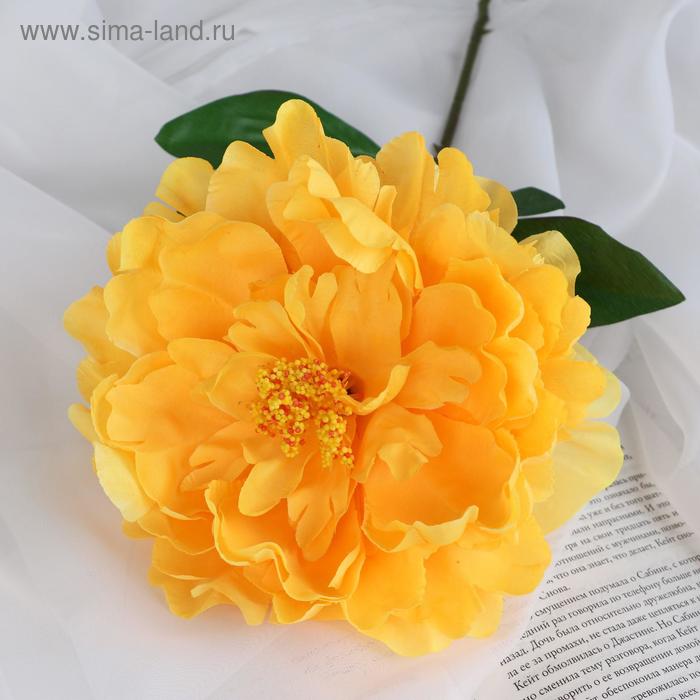 фото Цветы искусственные "пион бархатный" 15х55 см, жёлтый poetry in flowers