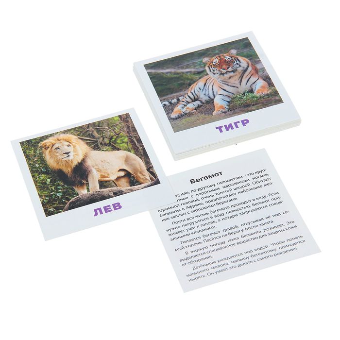 Развивающие карточки "Умный малыш. Животные жарких стран"