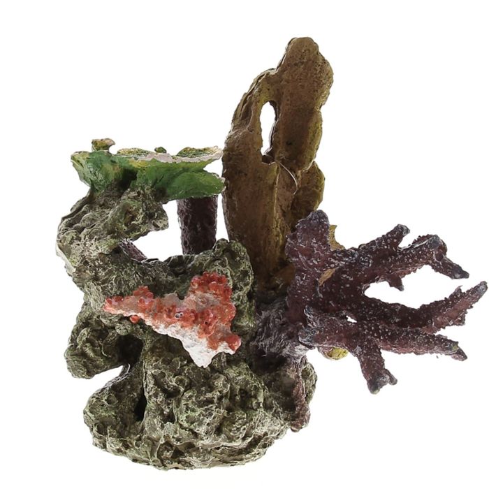 Коралл пластиковый "LAY-OUT LIVE CORAL" L240 x W220 x H230мм