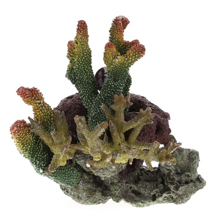 Коралл пластиковый "LAY-OUT LIVE CORAL" L320 x W280 x H280мм