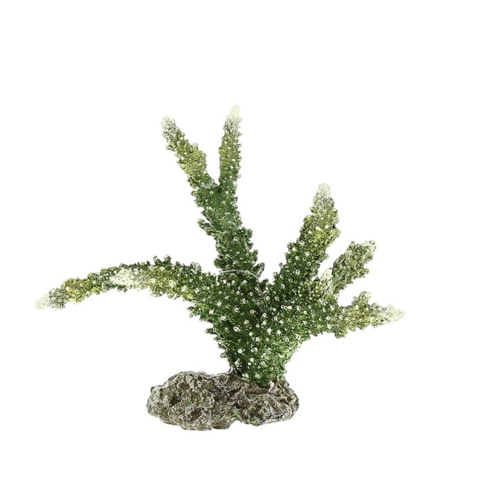 Коралл пластиковый "REPLICA LIVE CORAL" L220 x W120 x H170мм