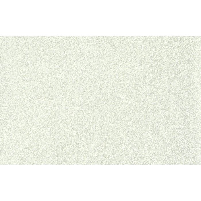 Обои виниловые Белвинил СБ54ок Вьюга-71 1,06х10м