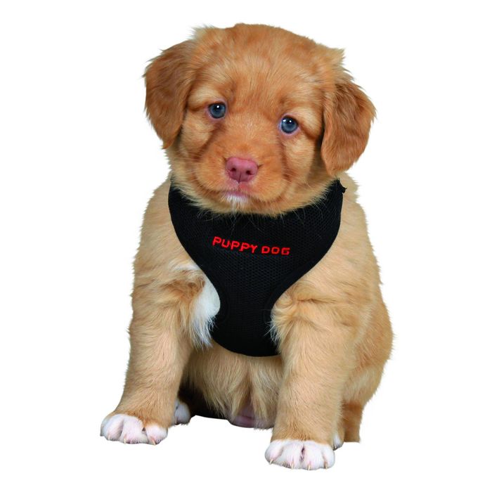 Шлейка-жилетка Trixie с поводком для щенка, 23-34 см / 2 м / 10 мм, нейлон, красный.