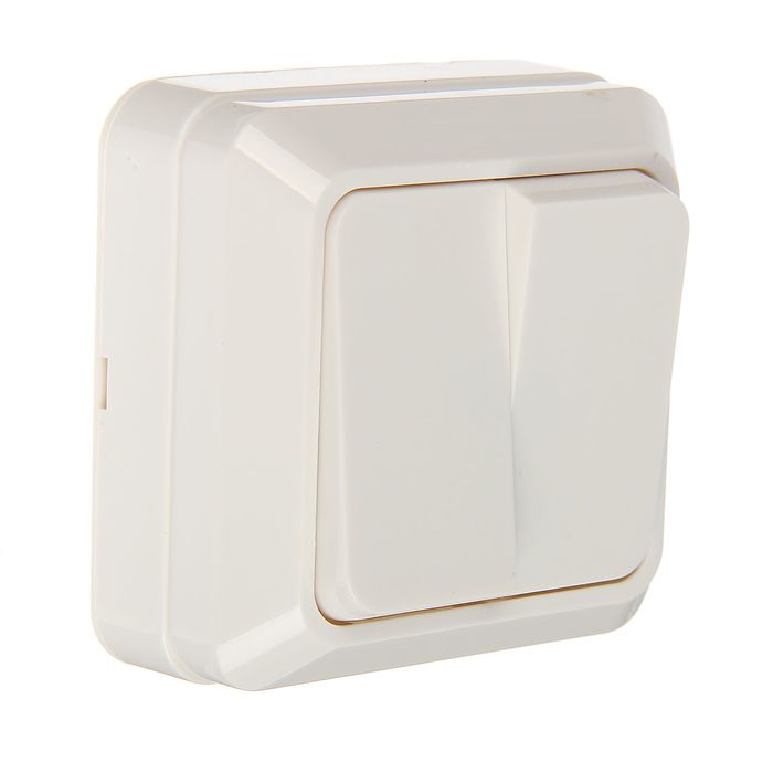 Выключатель TDM"Ладога", 10 А, IP20, 2 клавиши, открытый, белый, SQ1801-0003