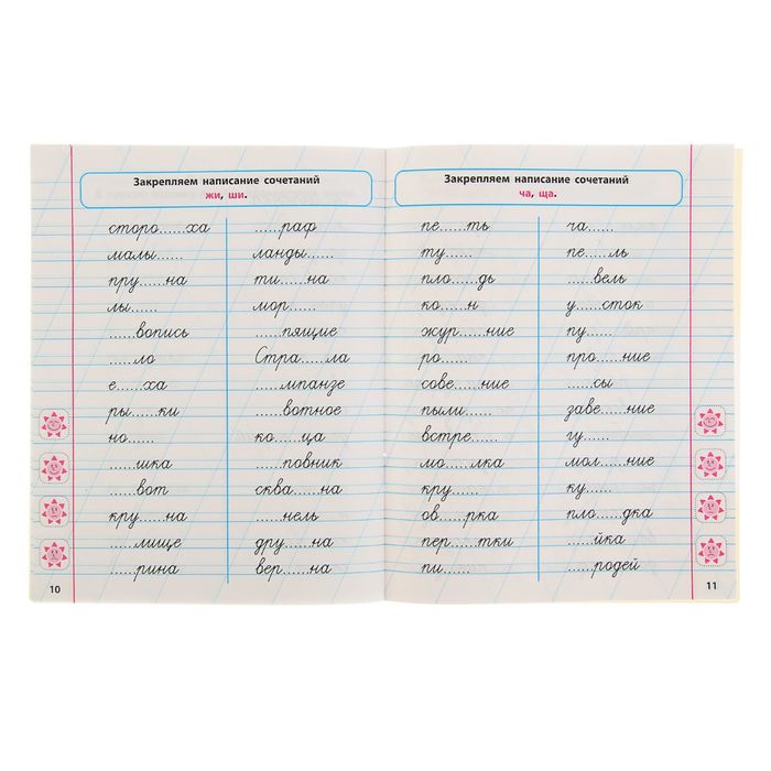 Мини-тренажер. Русский язык 1 класс. Развиваем навыки грамотного письма. Радевич Т.Е.