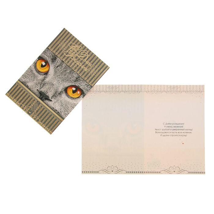 Открытка "С Днем Рождения!" Кошка, полосы