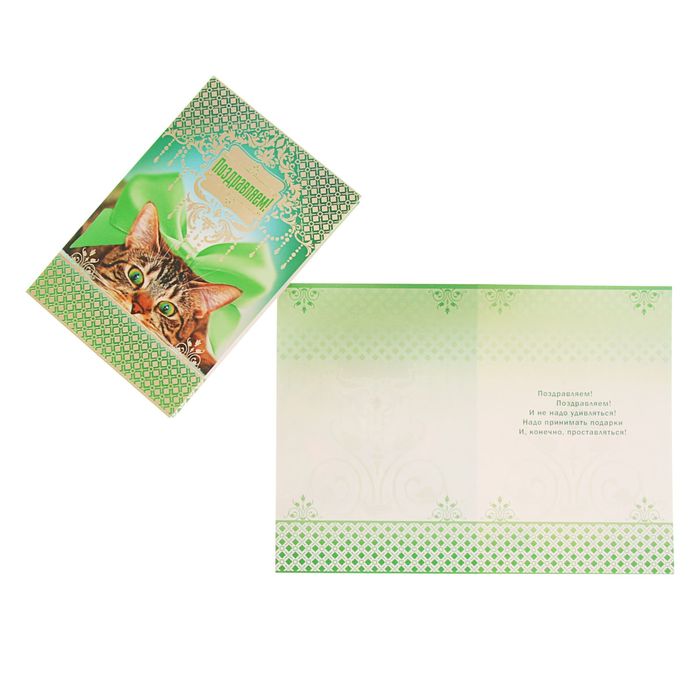 Открытка "Поздравляем!" кот, зелёный фон