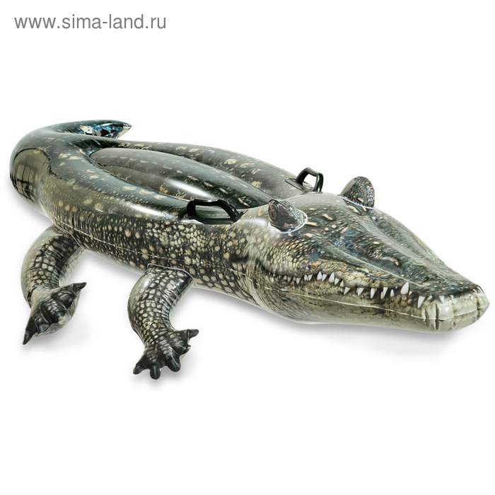 Игрушка для плавания «Аллигатор», 170 х 86 см, от 3 лет, 57551NP INTEX игрушка для плавания крокодил 168 х 86 см от 3 лет 58546np intex