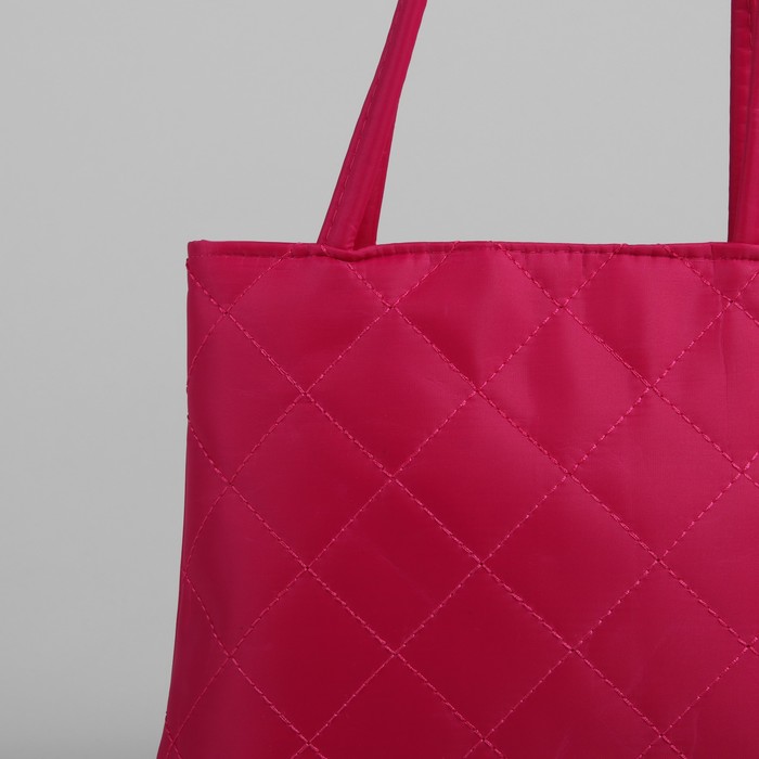 Сумка детская на молнии "Ника", 1 отдел, цвет малиновый