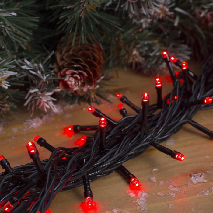 Гирлянда "Метраж" улич. УМС, 10 м, Н.Т., 2W LED-100-24В, БЕЗ контр., КРАСНЫЙ