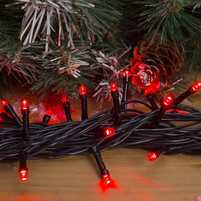 Гирлянда "Метраж" улич. УМС, 10 м, Н.Т., 2W LED-100-24В, БЕЗ контр., КРАСНЫЙ