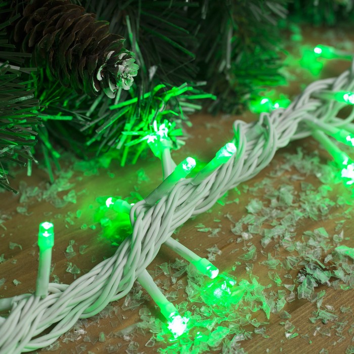 Гирлянда "Метраж" улич. УМС, 10 м, Н.Б., 2W LED-100-24В, БЕЗ контр., ЗЕЛЕНЫЙ