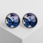 синяя бабочка синяя бабочка